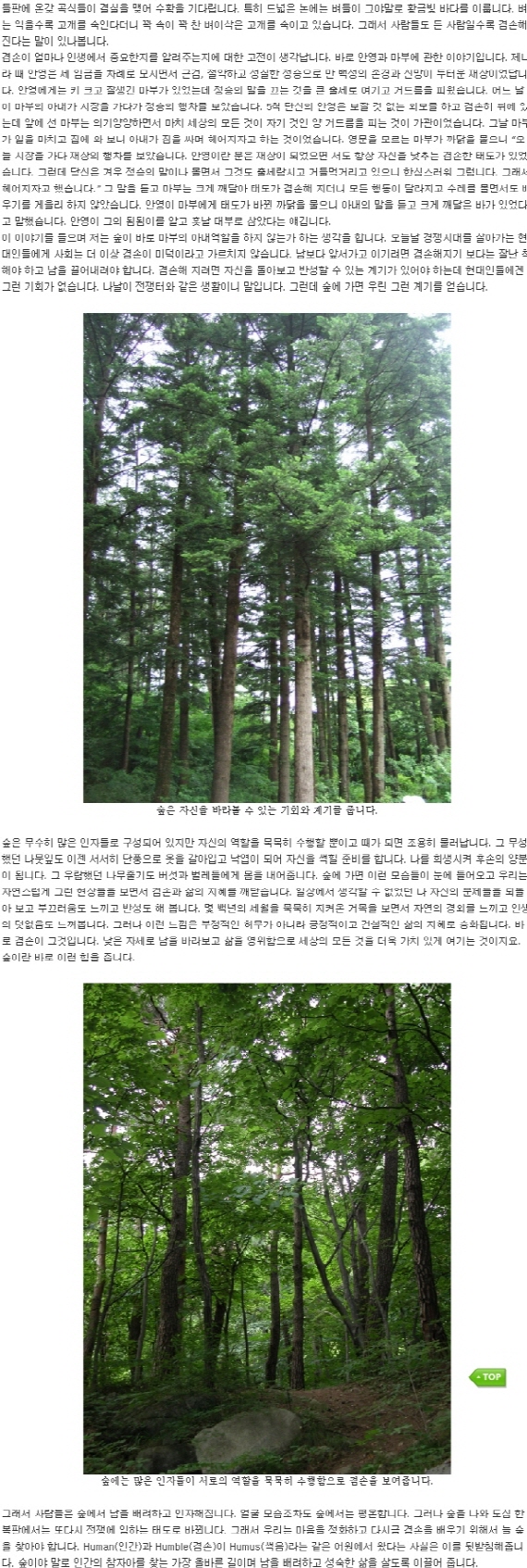 크기변환_크기변환_2011_01_18_09;22;15.jpg