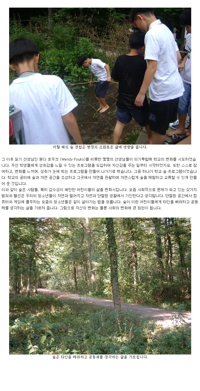 숲진2.jpg