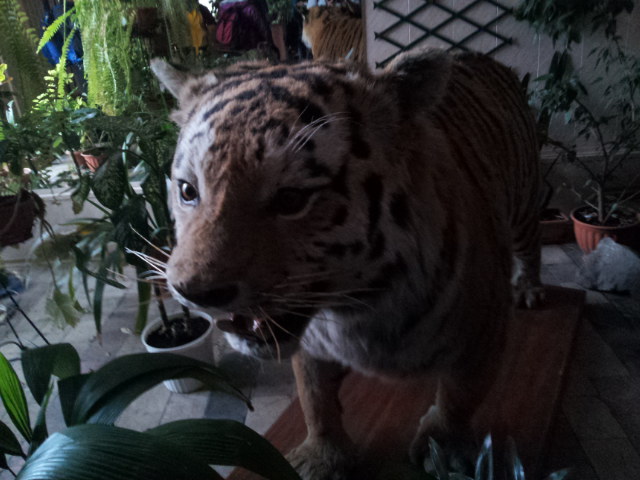 20120611_095759.jpg
