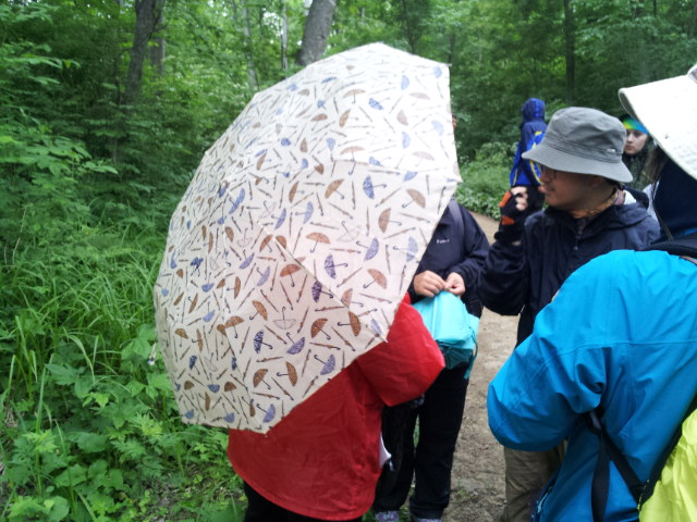20120611_115049.jpg