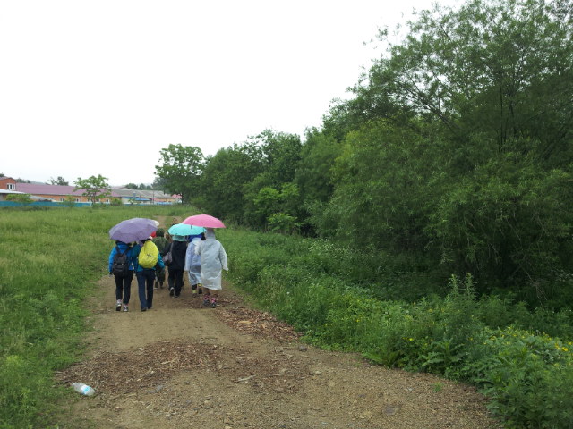 20120611_113853.jpg