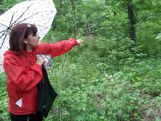 20120611_114949.jpg