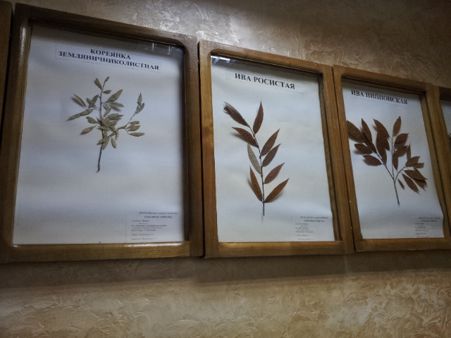 20120613_100332.jpg