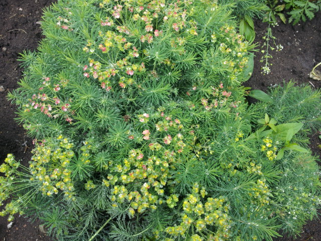 20120613_115550.jpg