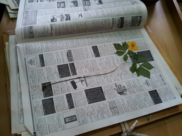 20120613_111228.jpg