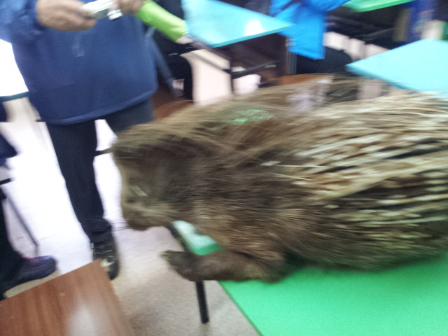 20120613_105338.jpg