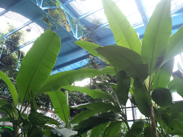 20120613_114130.jpg