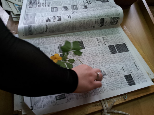 20120613_111224.jpg