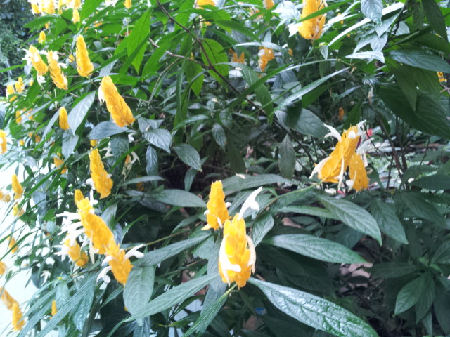 20120613_114207.jpg