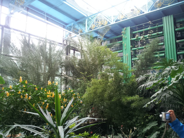 20120613_114126.jpg