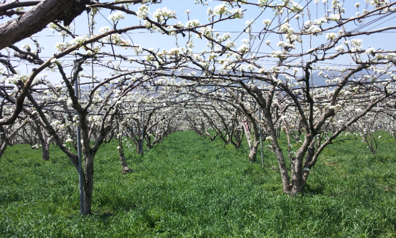 20120414_131524.jpg