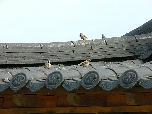 꾸미기_DSCN1325.JPG