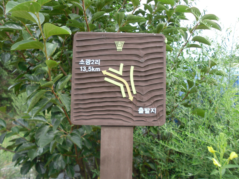 ASAM_3693.JPG