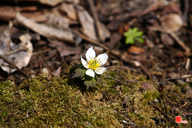 20130323-039.jpg