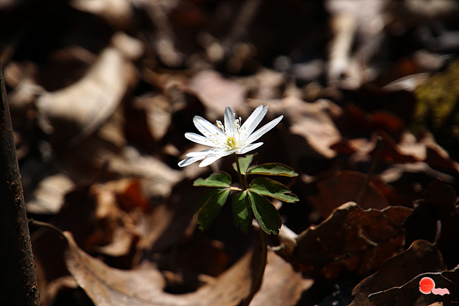 20130323-037.jpg