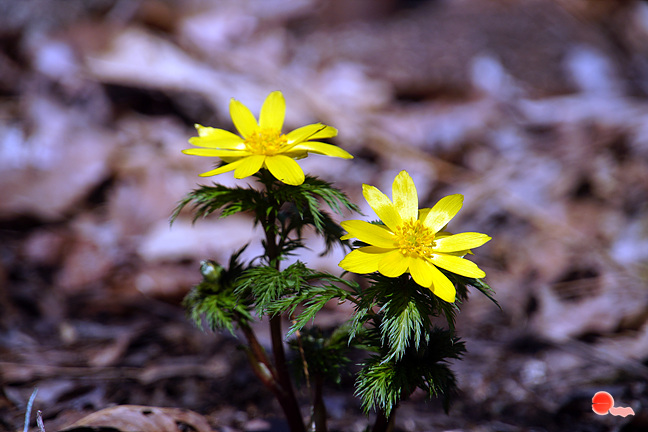 20130323-032.jpg