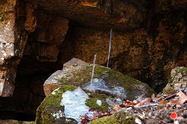 20130323-024.jpg