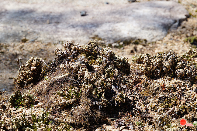 20130323-020.jpg